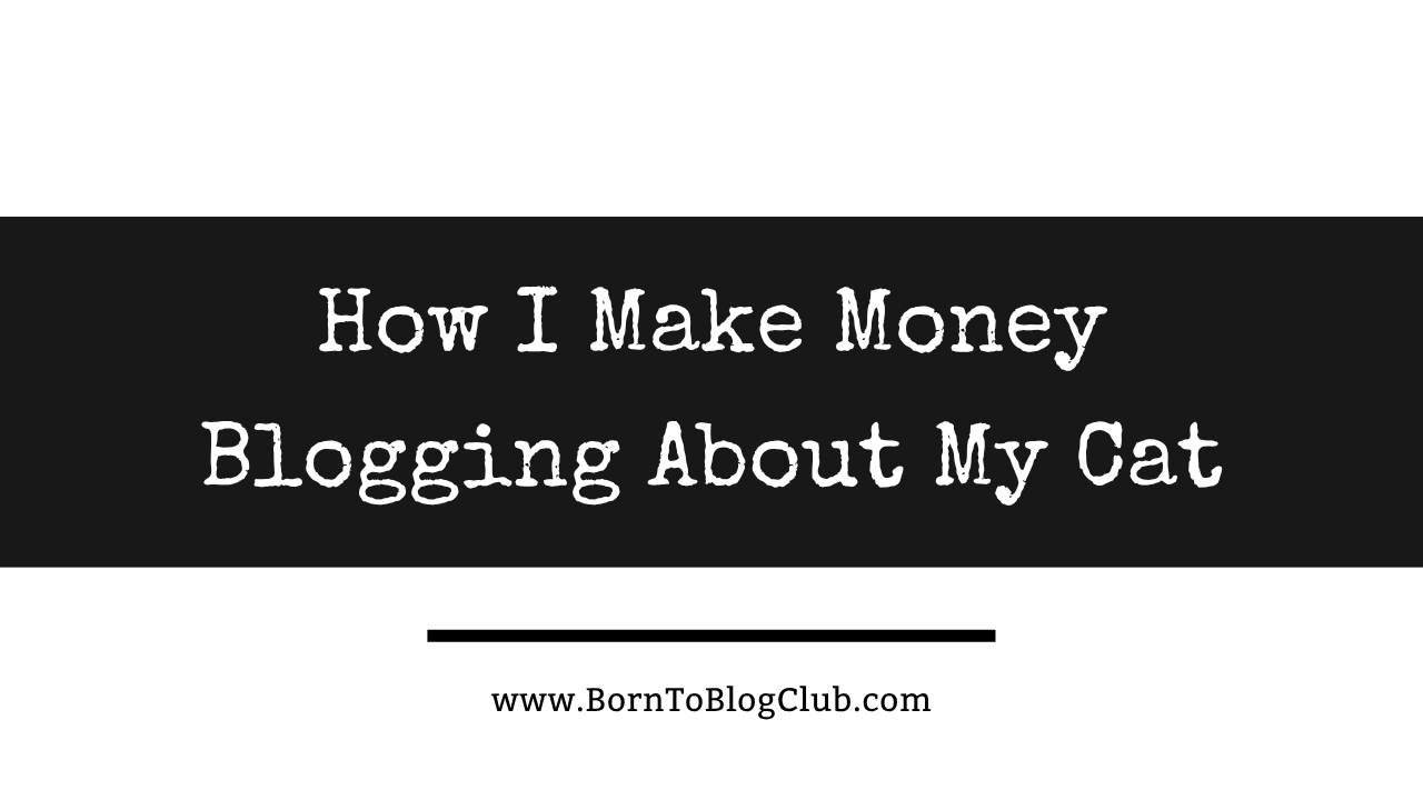 How I Make Money Blogging About My Cat: Cattitude Chaos Case Study