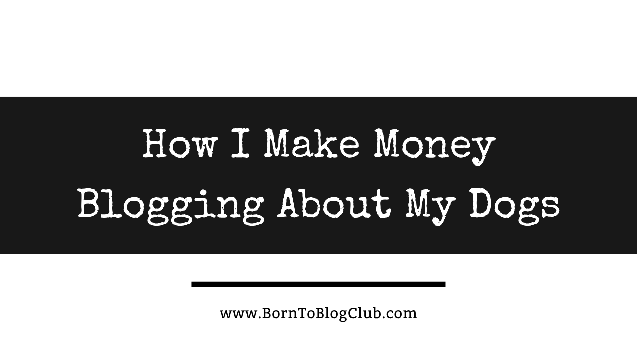 How I Make Money Blogging About My Dogs: Birdies Doghouse Case Study